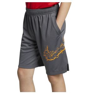 Nike Dri-FIT Graphic Boy's Training Shorts